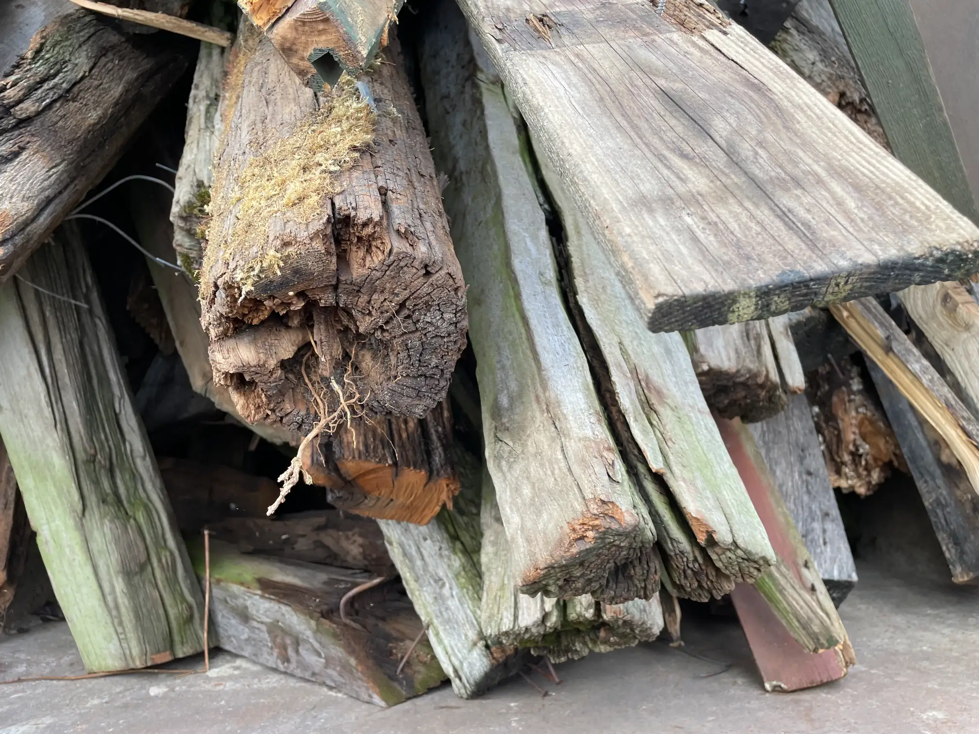 Ein Container voll mit Holz A4