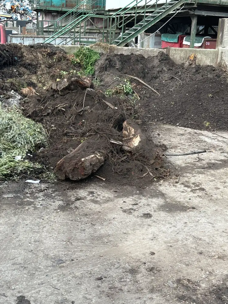 Boden mit Gras, bevor er in einen Container geladen wird
