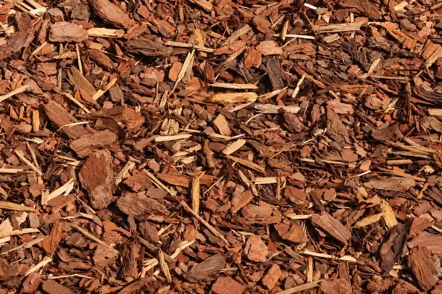 Rindenmulch aus groben Rindenstücken in Nahaufnahme